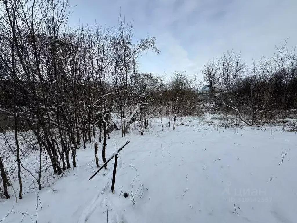 Участок в Алтайский край, Белокуриха Фрунзенский пер., 19 (17.55 сот.) - Фото 1