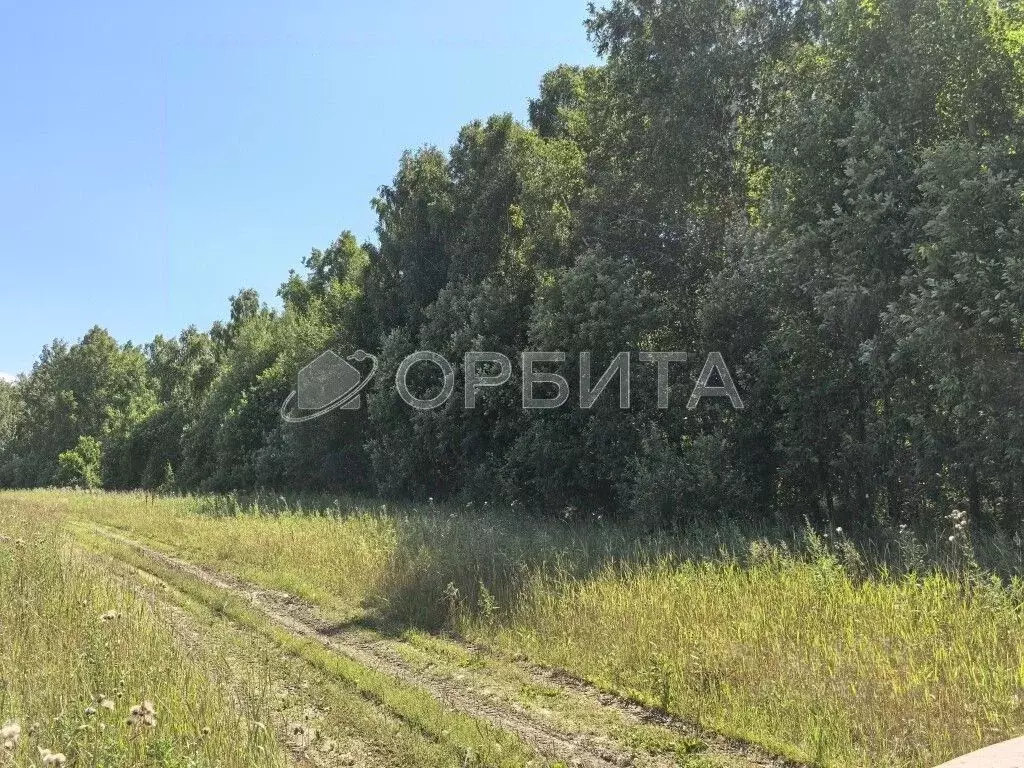 Участок в Тюменская область, Тюменский район, с. Кулаково  (91.0 сот.) - Фото 2