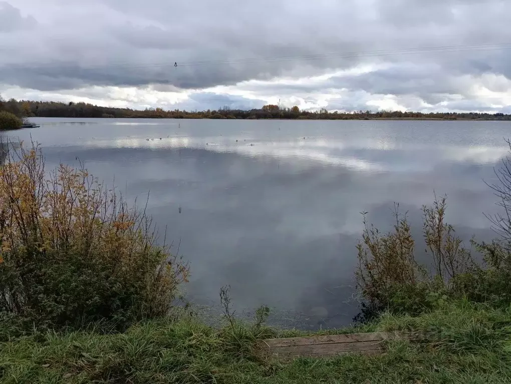Участок в Ленинградская область, Ломоносовский район, Ропшинское ... - Фото 1