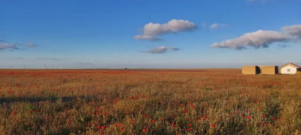 Участок в Крым, Сакский район, с. Суворовское ул. Северная, 9 (8.0 ... - Фото 1