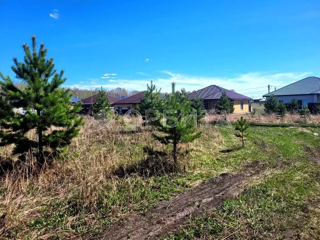 Участок в Тюменская область, Тюменский район, д. Елань 14 (8.0 сот.) - Фото 0