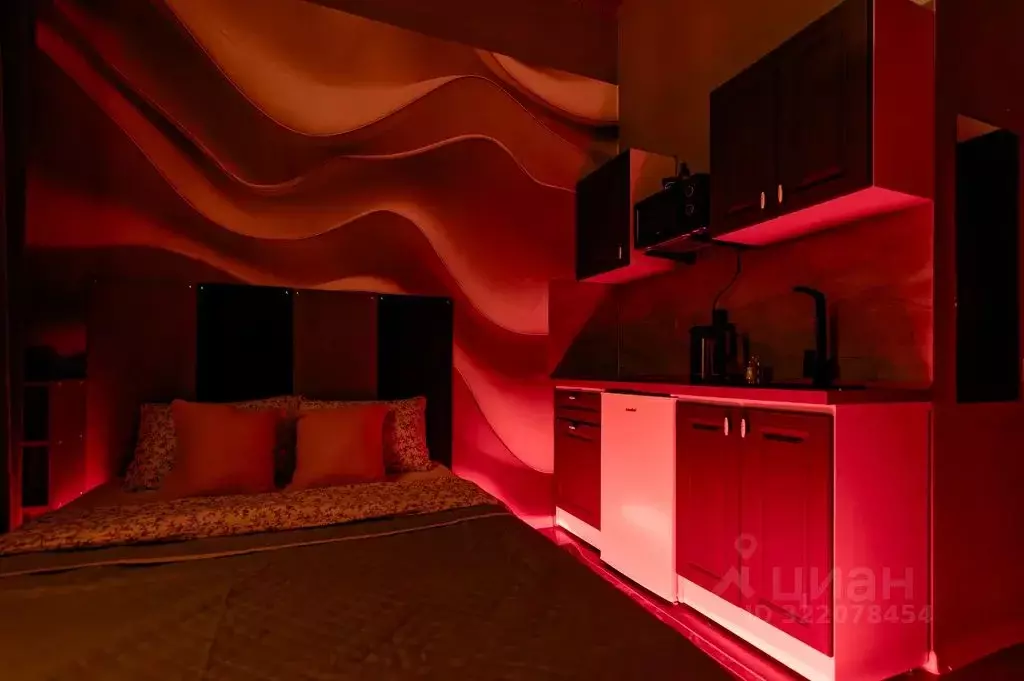 Студия Москва ул. Жуковского, 1/2/10С2 (19.0 м) - Фото 2