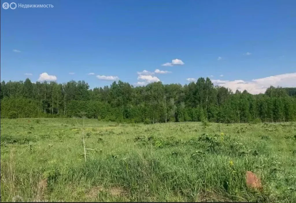 Участок в Дубенский район, рабочий посёлок Дубна, Весенняя улица (12 ... - Фото 1