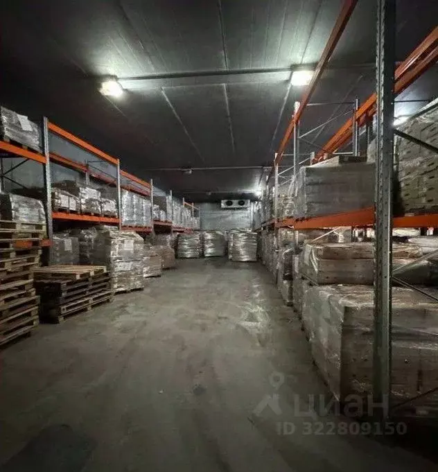 Склад в Санкт-Петербург просп. Непокоренных, 63И (420 м) - Фото 2