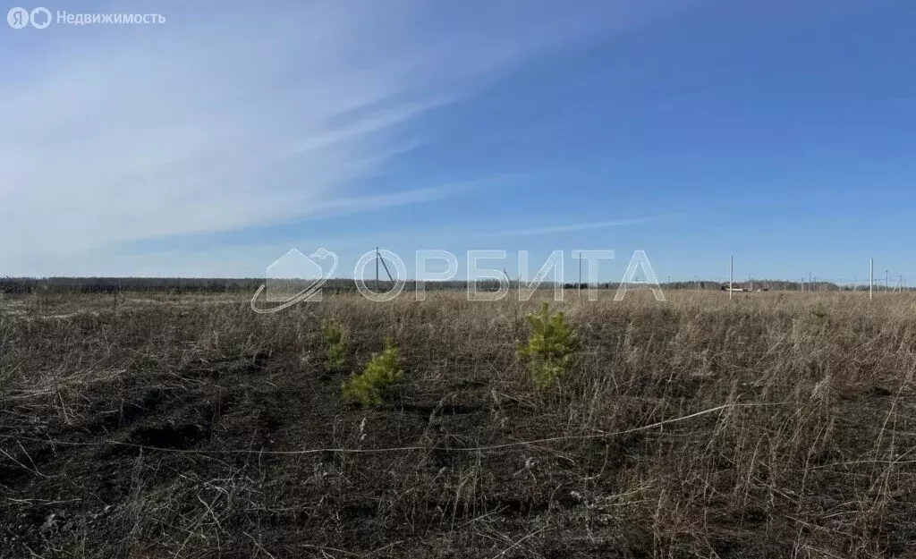 Участок в Тюменский район, село Успенка (7.4 м) - Фото 1