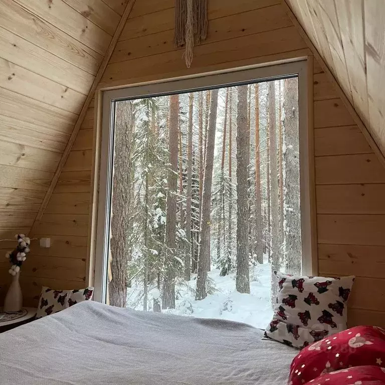 Дом в Архангельская область, Красноборский муниципальный округ, д. ... - Фото 1