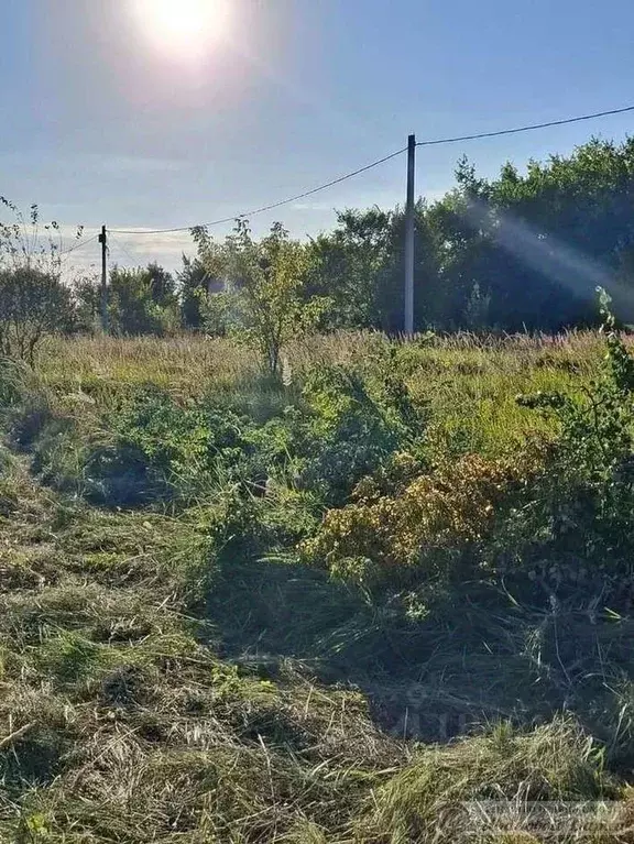 Участок в Самарская область, Волжский район, Рождествено с/пос, с. ... - Фото 2