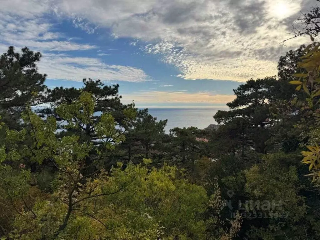 Участок в Крым, Ялта муниципальный округ, Восход пгт ул. Наташинская ... - Фото 1