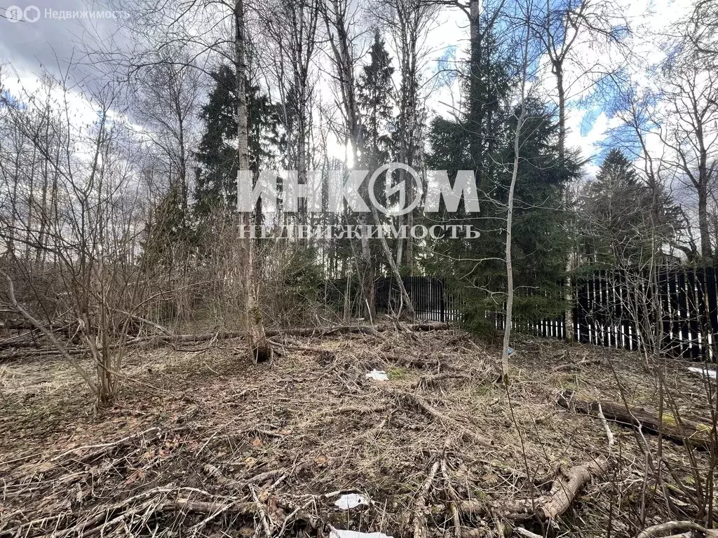 Участок в Московская область, городской округ Мытищи, деревня ... - Фото 2