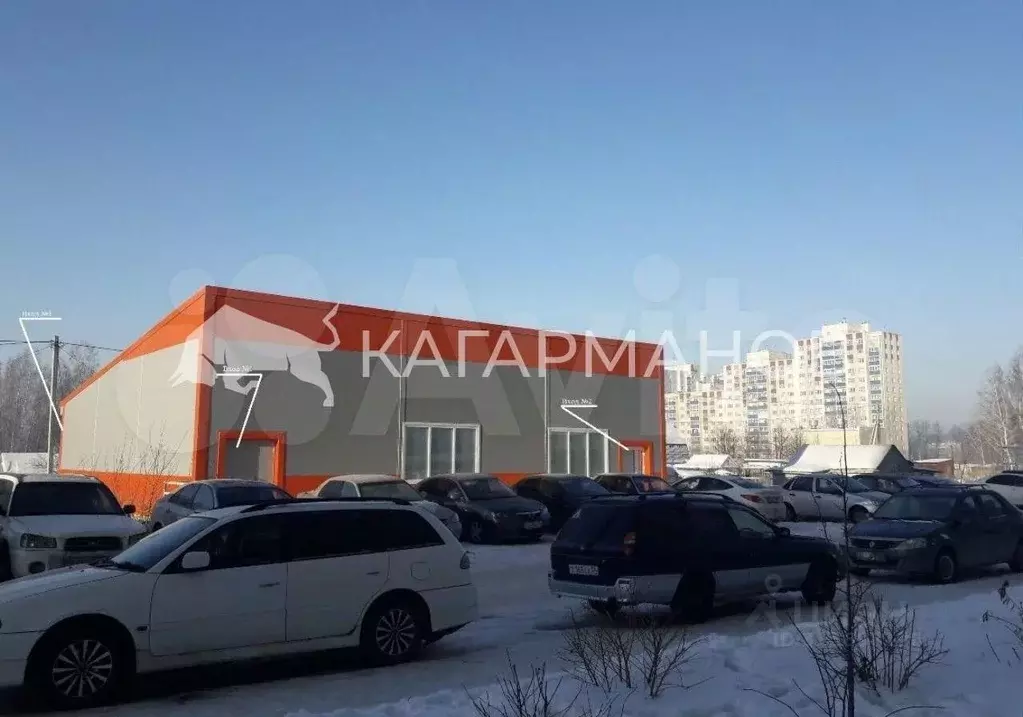 Помещение свободного назначения в Новосибирская область, Новосибирск ... - Фото 1
