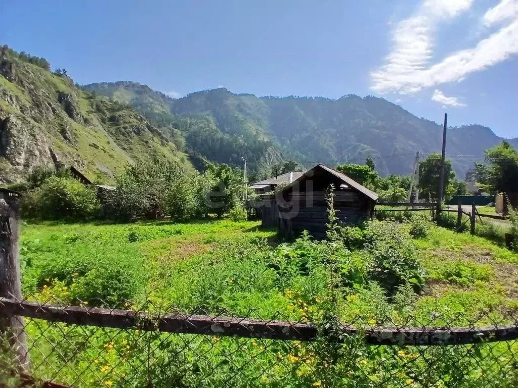 Участок в Алтай, Чемальский район, с. Чемал Луговая ул. (7.0 сот.) - Фото 1