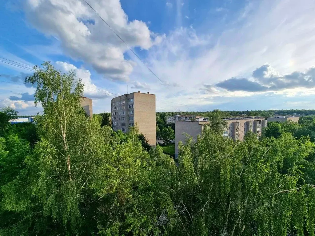 2-к кв. Московская область, Ивантеевка Пушкинский городской округ, ул. ... - Фото 0