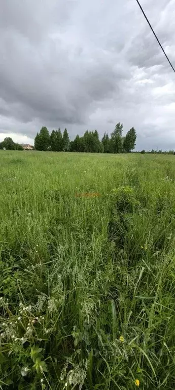 Участок в Тульская область, Тула городской округ, с. Торхово Р-132, ... - Фото 1