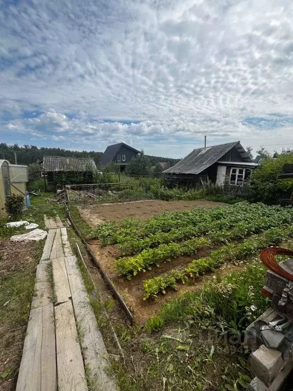 Участок в Иркутская область, Иркутский муниципальный округ, Восовец ... - Фото 1