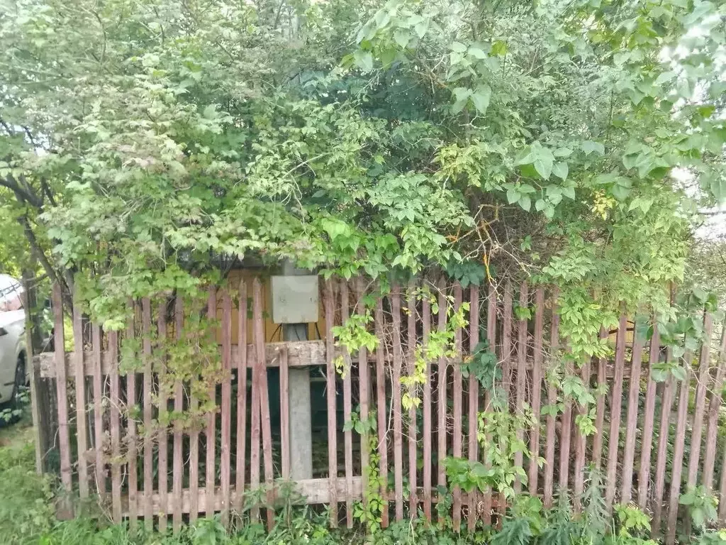 Участок в Калужская область, Перемышльский район, Большие Козлы с/пос, ... - Фото 1