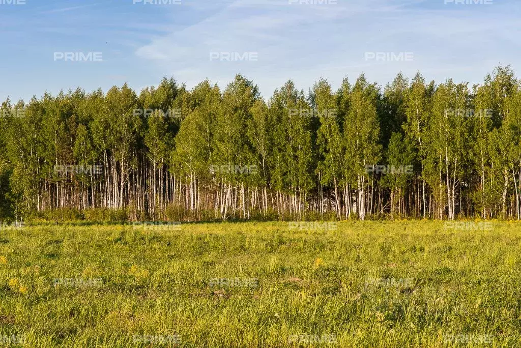 Участок в Московская область, Одинцовский городской округ, Мамоново ... - Фото 0