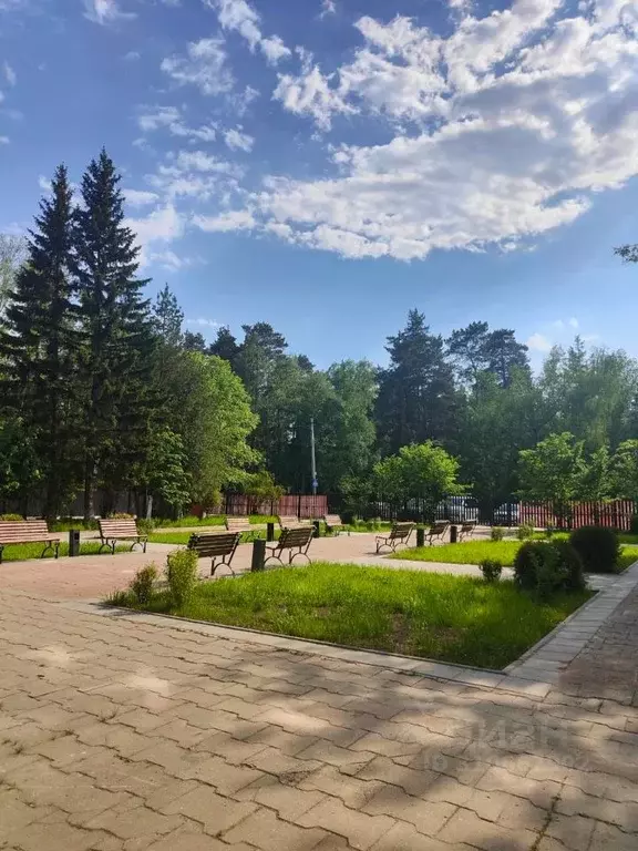 Студия Московская область, Раменский городской округ, Ильинский рп ул. ... - Фото 1