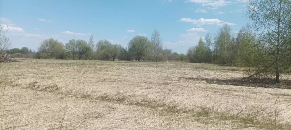 Участок в Московская область, Шатура муниципальный округ, с. Пышлицы ... - Фото 1
