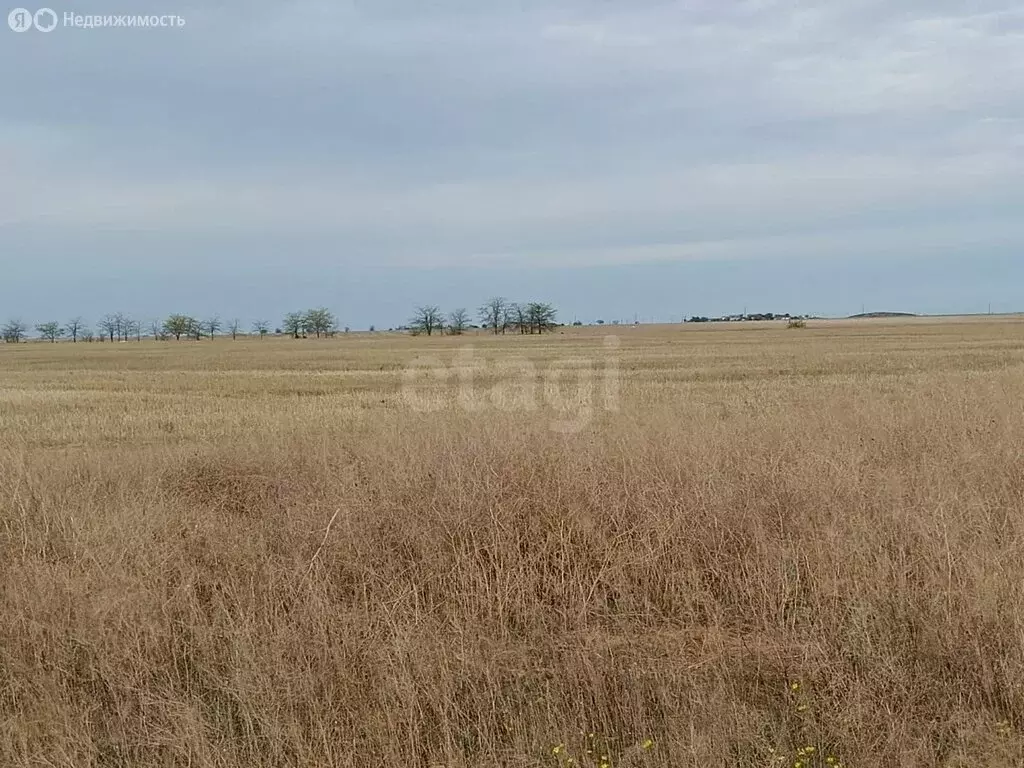 Участок в Суворовское, село Пригородное (7 м) - Фото 2