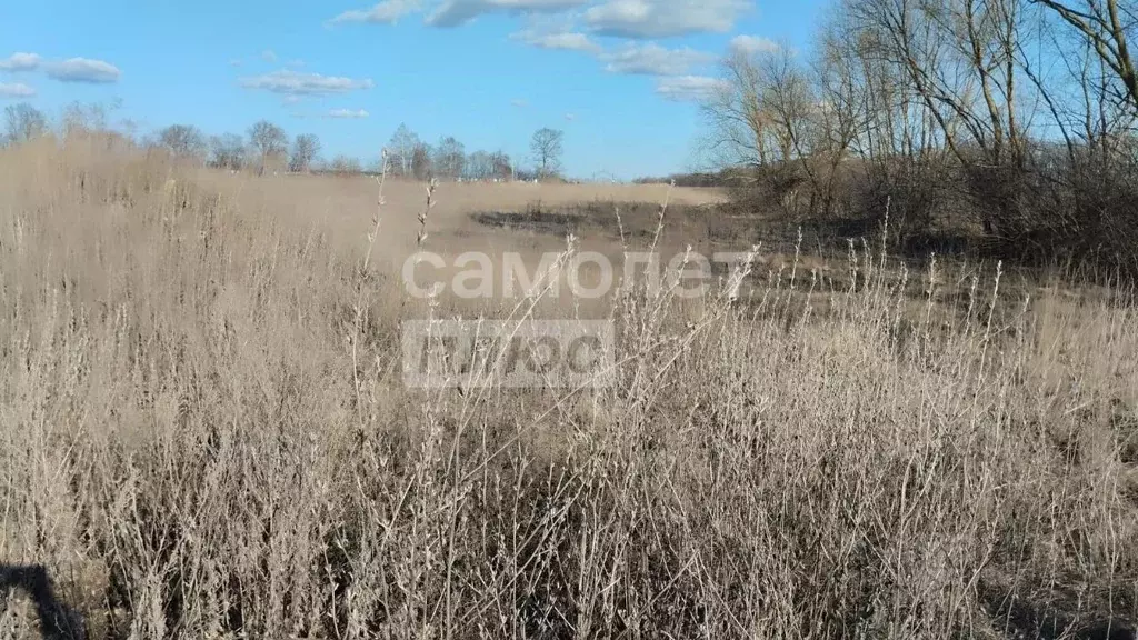 Участок в Липецкая область, Грязинский район, Большесамовецкий ... - Фото 1