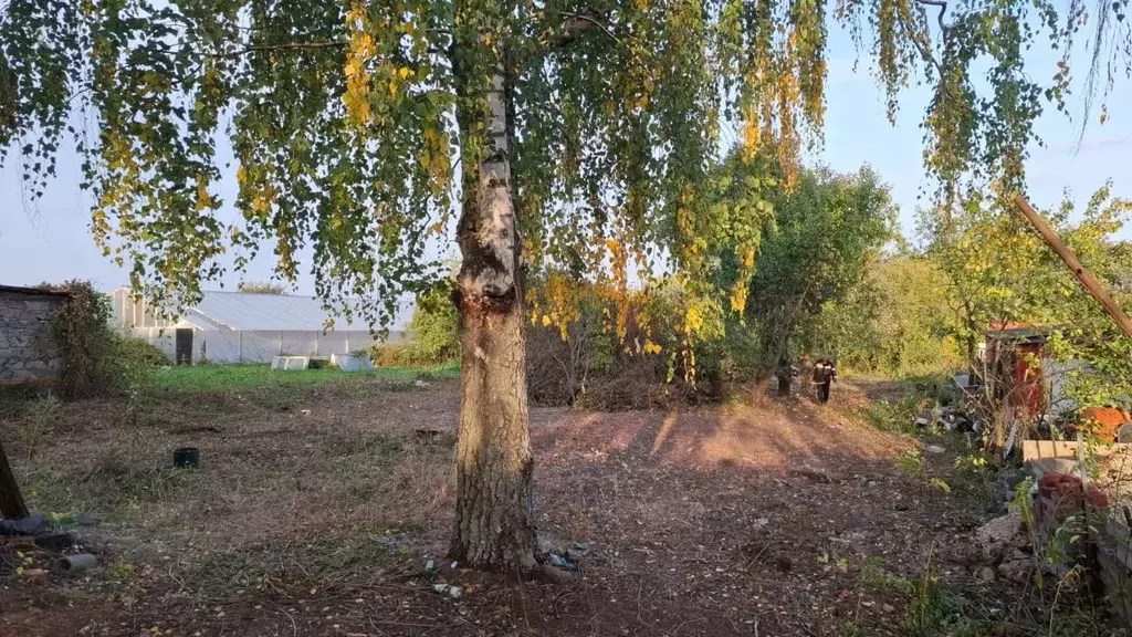 Участок в Рязанская область, Спасский муниципальный округ, с. ... - Фото 2