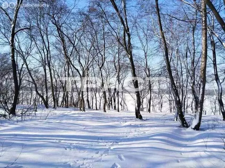 Участок в Воронеж, улица Волкова (7 м) - Фото 2