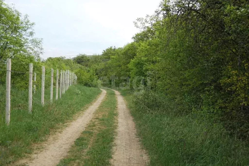 Участок в Севастополь, Балаклавский муниципальный округ, ... - Фото 2