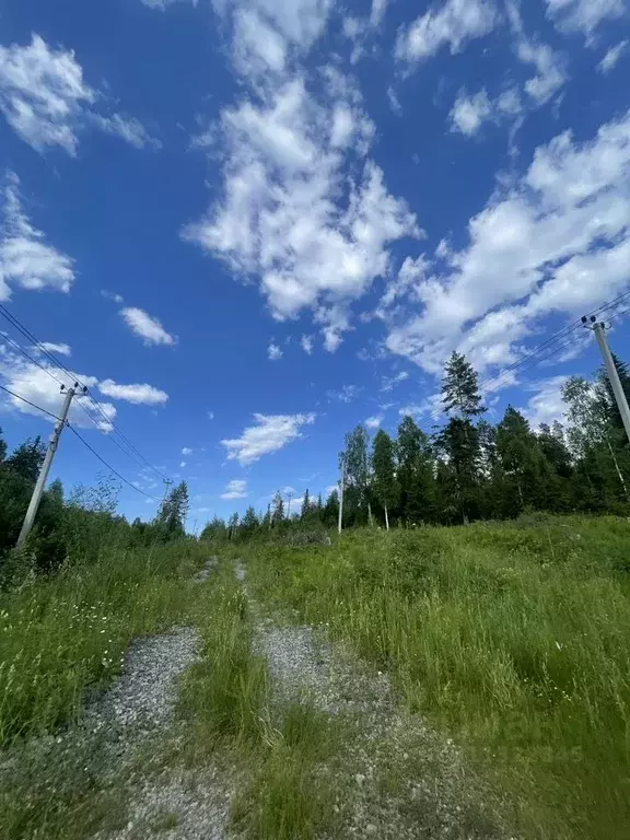 Участок в Кемеровская область, Таштагол ул. Сергея Дюкарева (12.0 ... - Фото 0