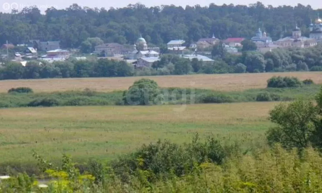 Участок в Калужская область, Козельский муниципальный округ, сельское ... - Фото 2