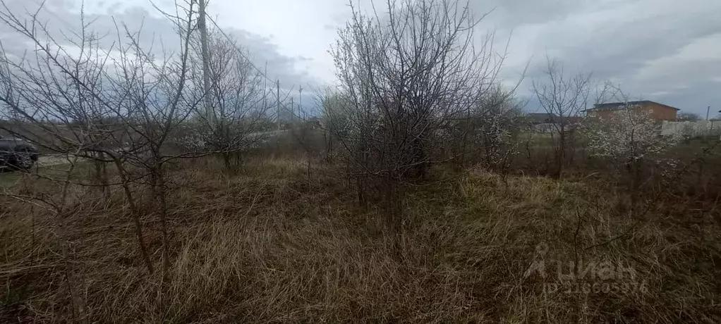 Участок в Краснодарский край, Северский район, Афипское городское ... - Фото 0