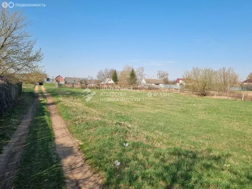 Участок в Спасский район, Панинское сельское поселение, село Панино ... - Фото 1