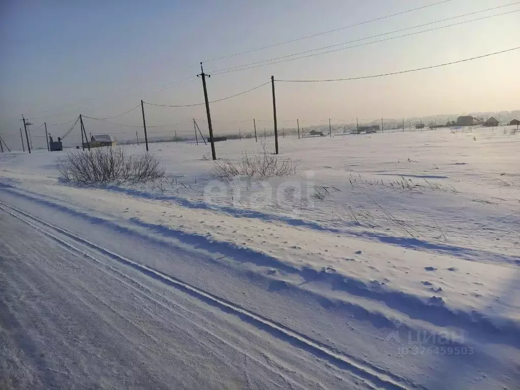 Участок в Новосибирская область, Коченево рп ул. Заречная (10.0 сот.) - Фото 2