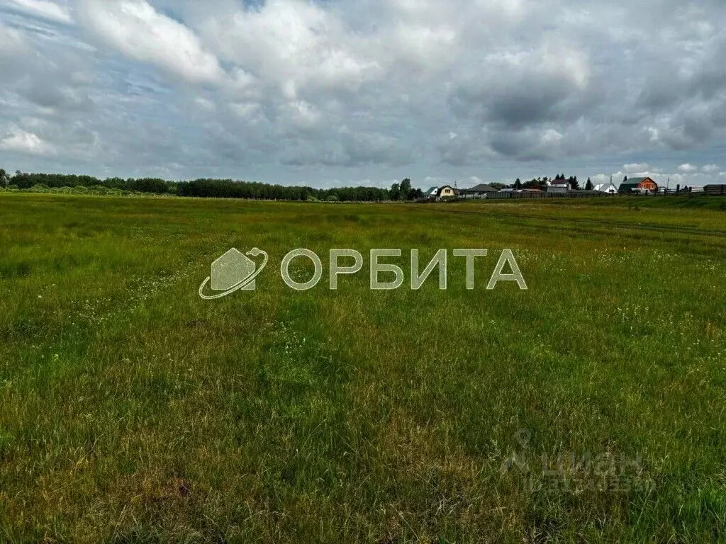 Участок в Тюменская область, Тюменский район, д. Есаулова ул. Гайдара, ... - Фото 1
