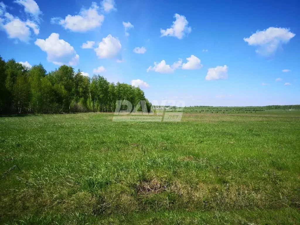 Участок в Челябинская область, Красноармейский район, Лазурненское ... - Фото 1