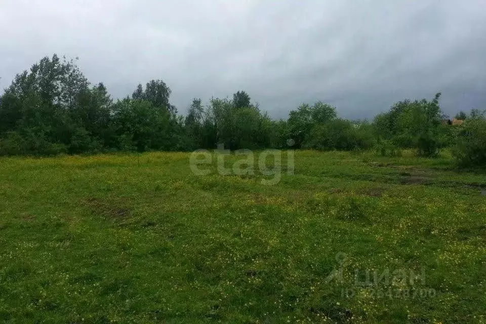 Участок в Новосибирская область, Ордынский район, с. Новопичугово ... - Фото 1