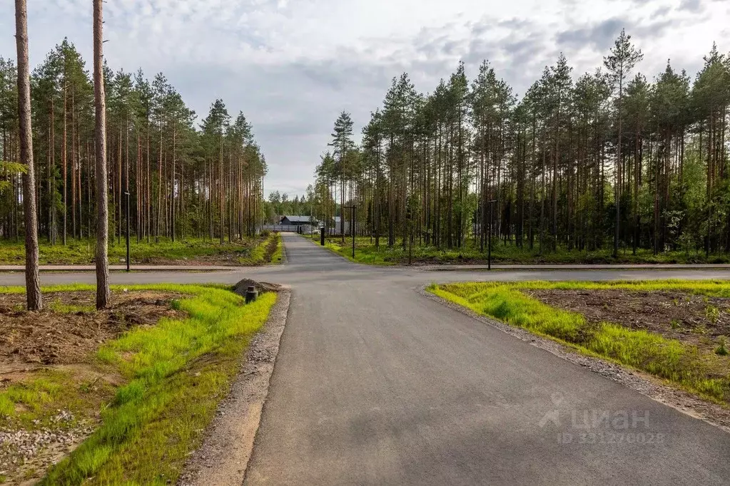 Участок в Московская область, Богородский городской округ, Восточная ... - Фото 1