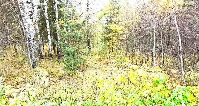 Участок в Московская область, Щелково городской округ, д. ... - Фото 1