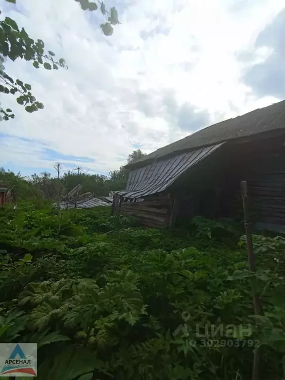 Участок в Ярославская область, Переславль-Залесский городской округ, ... - Фото 1