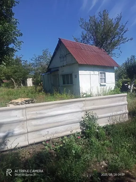 Дом в Белгородская область, Белгородский район, Ериковское с/пос, ... - Фото 1