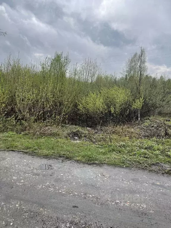 Участок в Кемеровская область, Междуреченск Междуреченская ул., 58 ... - Фото 2
