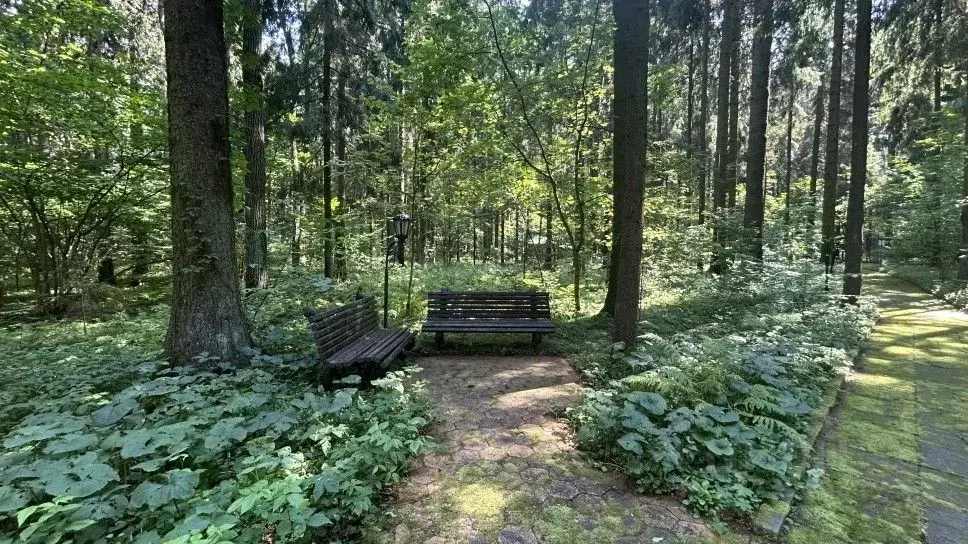 Участок в Московская область, Одинцовский городской округ, д. ... - Фото 2