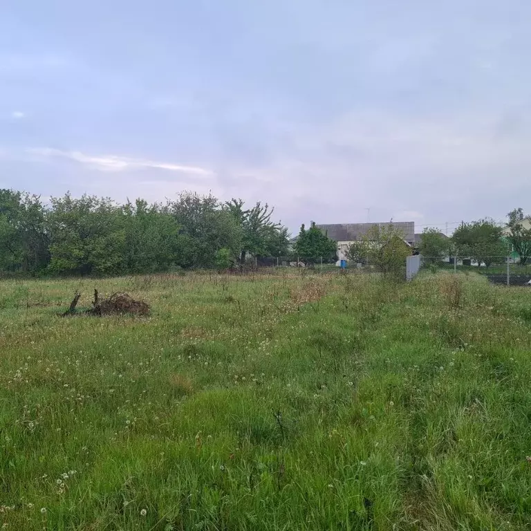 Участок в Воронежская область, с. Новая Усмань ул. Кирова (7.0 сот.) - Фото 0