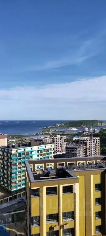 1-к кв. Приморский край, Владивосток ул. Сочинская, 7 (40.0 м) - Фото 0