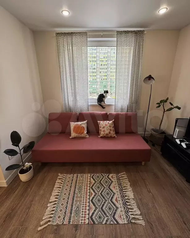 Квартира-студия, 30 м, 5/17 эт. - Фото 1