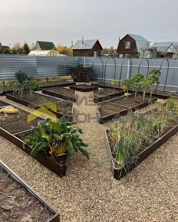 Дом в Омская область, Омск Дары Сибири СНТ, аллея 20-я (24 м) - Фото 1