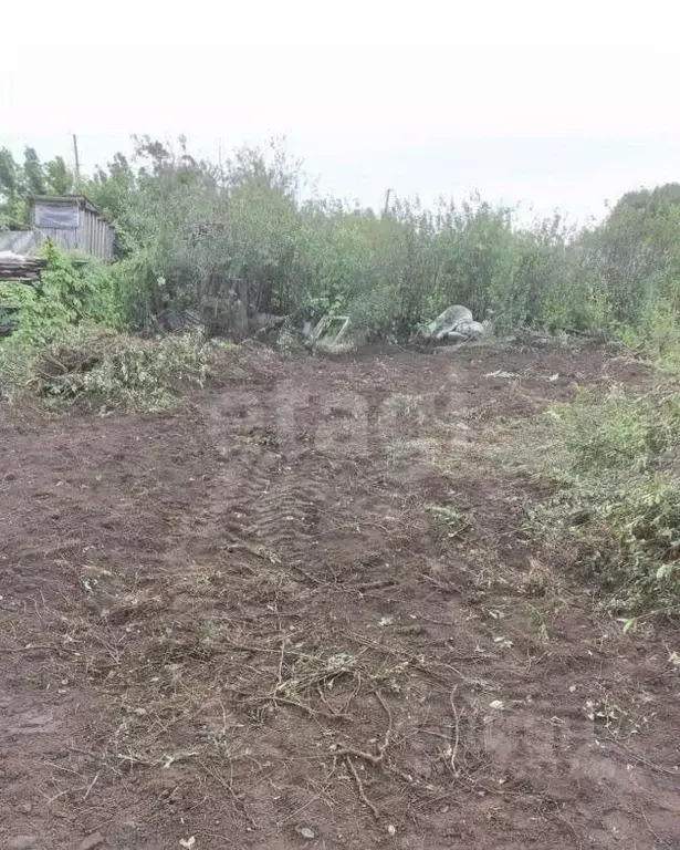 Участок в Оренбургская область, Оренбургский район, Нежинский ... - Фото 2