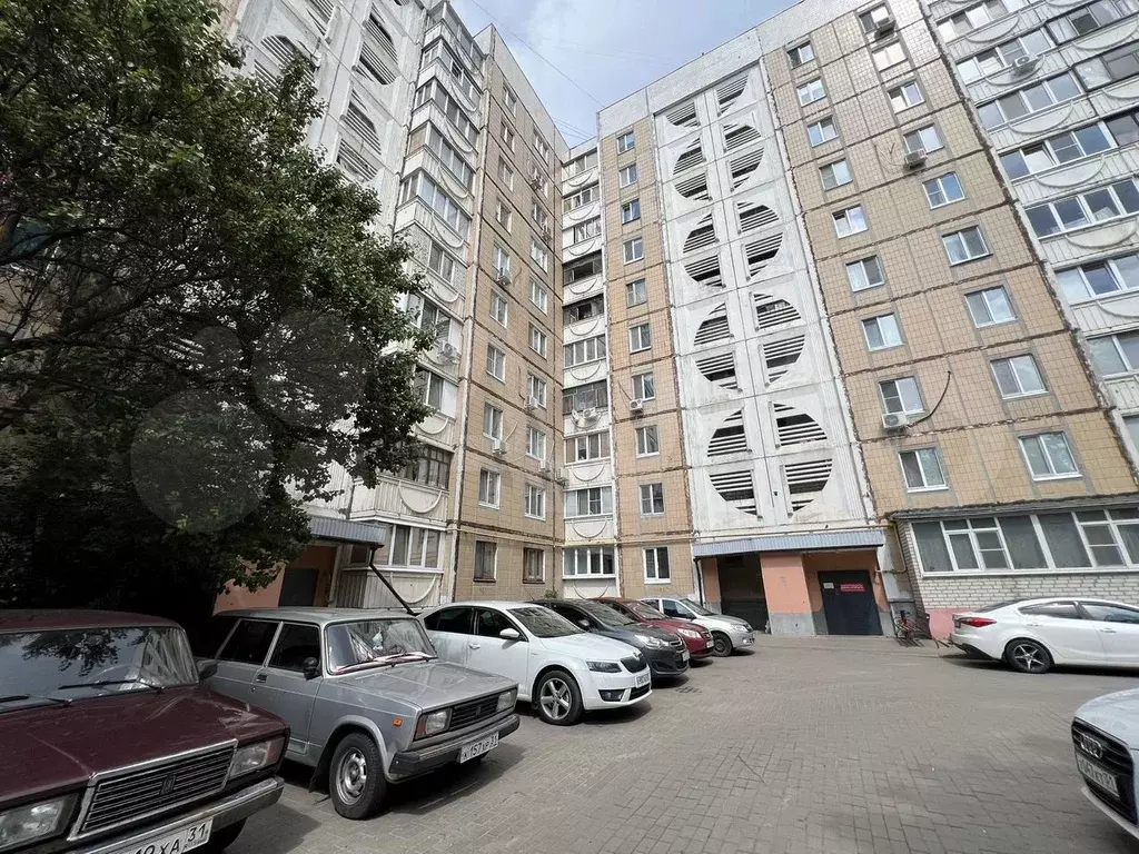 1-к. квартира, 33,9 м, 10/10 эт. - Фото 1