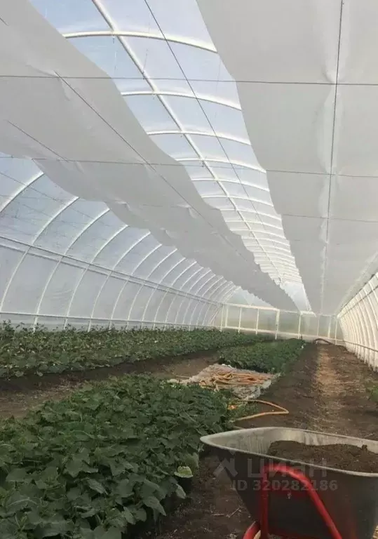 Помещение свободного назначения в Краснодарский край, Ейский район, ... - Фото 1