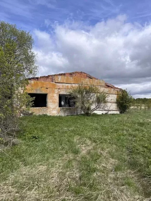 Участок в Калужская область, Спас-Деменский район, Чипляево с/пос, д. ... - Фото 1