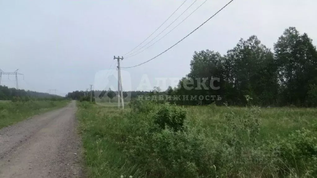 Участок в Тюменская область, Тюменский район, с. Кулига, Кулига-2 мкр  ... - Фото 1